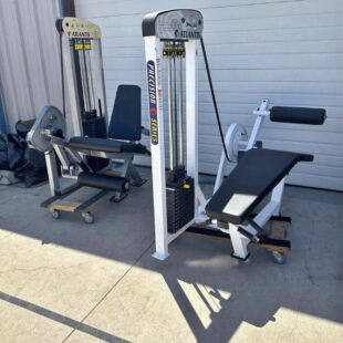 atlantis leg curl/leg extension set.